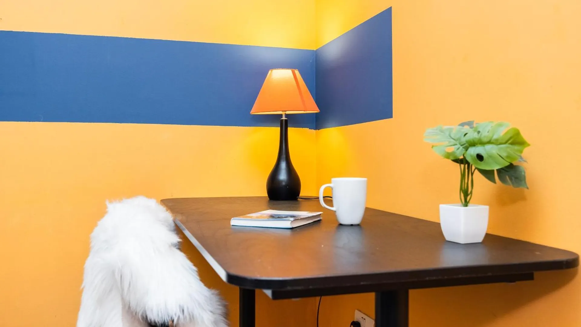 Vibrant Fresh Flat Near The Station - New Cross - Goldsmiths Lägenhet London 0*,  Storbritannien